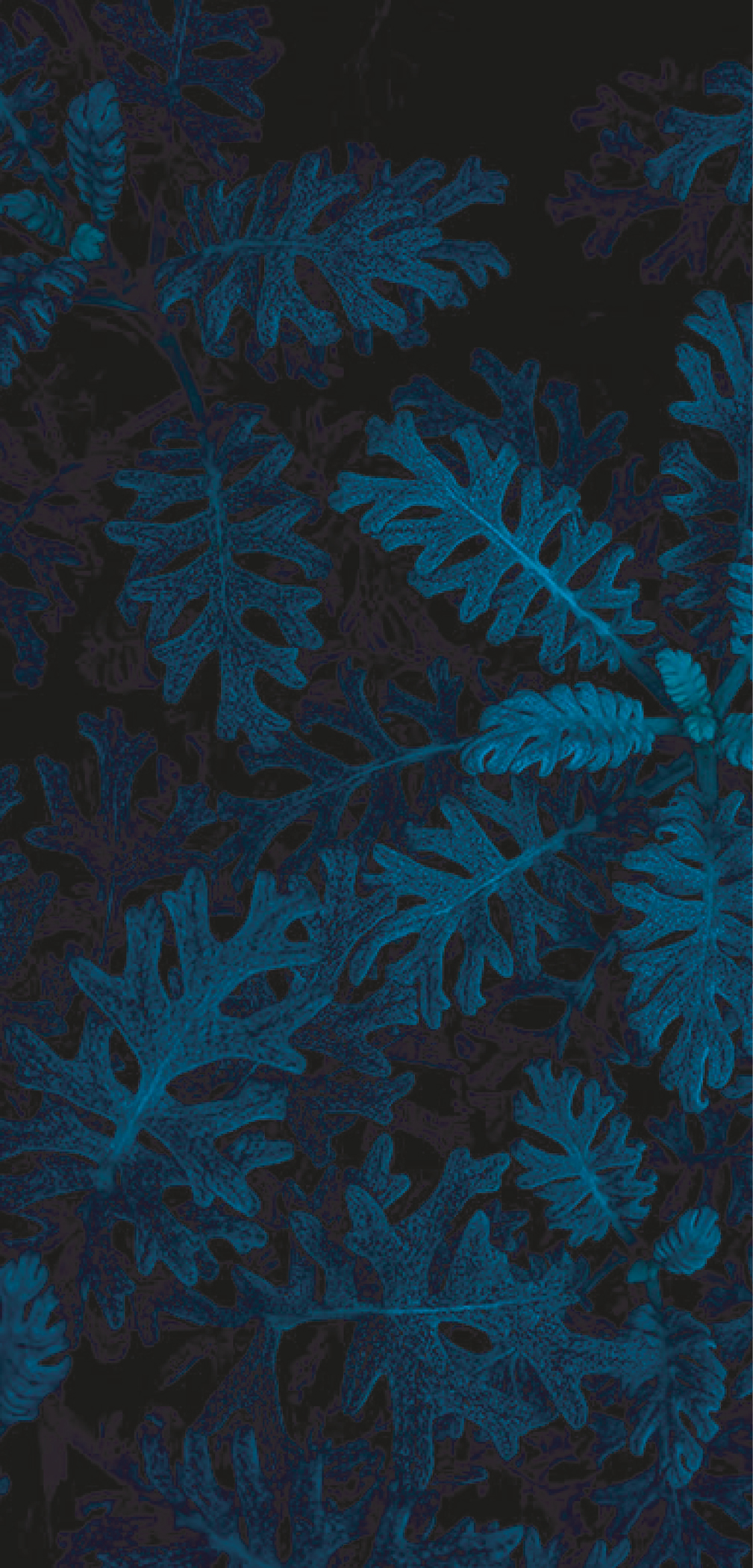 Création de société